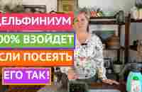 ЭКСПРЕСС-МЕТОД ПОСЕВА ДЕЛЬФИНИУМА! - YouTube