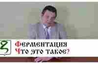 ФЕРМЕНТАЦИЯ/ ЧТО ЭТО ТАКОЕ? ОТЛИЧИЕ ОТ БРОЖЕНИЯ - YouTube