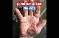 #short #shorts #palmistry #хиромантия - YouTube