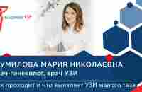 УЗИ малого таза:как проходит процедура и как подготовиться к УЗИ? Виды УЗИ малого таза - YouTube