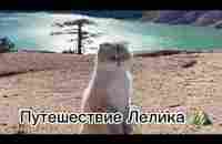 Путешествие Лелика⛰ - YouTube