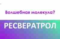 Ресвератрол - волшебная молекула? - YouTube