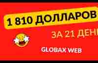 1810 долларов за 21 день в GlobaxWeb