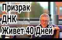 Фантом - Призрак ДНК Живет 40 Дней Открытие Петра Гаряева. - YouTube