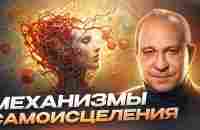 СОХРАНИ СВОЮ МОЛОДОСТЬ! Механизм самоисцеления - YouTube