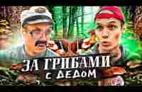 С ДЕДОМ ПО ГРИБЫ - YouTube