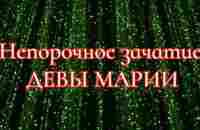 Пётр Гаряев. Непорочное зачатие Девы Марии. - YouTube