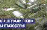 Наробили багато шкоди – наслідки пограбування росіянами птахоферми у селі Вільшана на Сумщині - YouTube