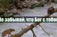 Не забывай, что Бог с тобой | Красивая песня и клип | Христианские песни - YouTube