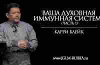 ВАША ДУХОВНАЯ ИММУННАЯ СИСТЕМА (часть 1) | КАРРИ Р. БЛЕЙК - YouTube