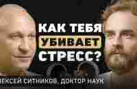 Какие сигналы нам дает мозг? Алексей Ситников про причины рака, гормон смерти и умение слушать себя - YouTube