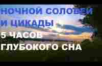 КРЕПКИЙ СОН ПОД ПЕНИЕ НОЧНОГО СОЛОВЬЯ,СВЕРЧКОВ И ЦИКАД ВАМ ОБЕСПЕЧЕН.ЗВУКИ ПРИРОДЫ БЛАГОТВОРНЫ. - YouTube