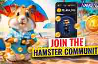 Hamster Kombat for New Players: Easy Start Guide ⚡️ Hamster Academy - YouTube