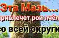 Мазь для привлечения роев в ваши ловушки. Пчеловодство начинающим. - YouTube