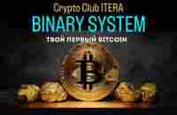 Telegram: Contact @BinarySystemOfficial