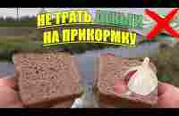 ОПУСТИЛ ХЛЕБ С ЧЕСНОКОМ ПОД ВОДУ. Подводная съёмка. Реакция рыбы. - YouTube