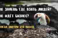 Не знаешь где взять людей? Не идёт бизнес? Тогда ВНИМАТЕЛЬНО СМОТРИ ЭТО ВИДЕО - YouTube