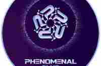 Telegram: Contact @phenomenalclab