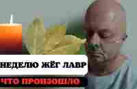 ЖГУТ и молчат! Просто посмотри что происходит после лаврового дыма. - YouTube