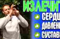 Всего ОДНО упражнение излечивает пол тела: СЕРДЦЕ, ДАВЛЕНИЕ, СУСТАВЫ, ВЕНЫ и ЛИМФУ. Делай приседания - YouTube