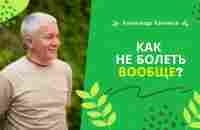 Как не болеть вообще? - Александр Хакимов - YouTube