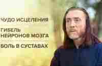 Чудо исцеления. Гибель нейронов мозга. Боль в суставах - YouTube