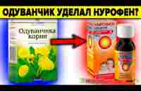 Одуванчик - что скрывают врачи ? 8 фактов о которых должен знать каждый - YouTube