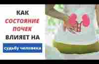 Почки | Симптомы Заболевания | Что нужно для здоровья почек - YouTube