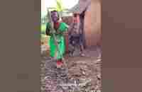 Africa amazing #shorts #dance #afrogenerals - YouTube