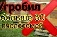 Погибло больше 30 пчелосемей. Ошибки в пчеловодстве. - YouTube