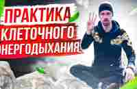 ДЫХАТЕЛЬНАЯ ПРАКТИКА | КЛЕТОЧНОЕ ДЫХАНИЕ | БИОХАКИНГ - YouTube