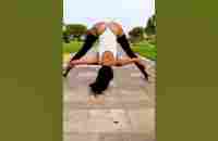 Morning Yoga Stretching Forearm Stand #shorts - YouTube