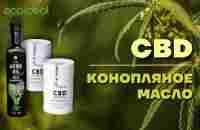 Конопляное масло | CBD - YouTube