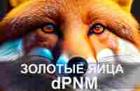 dPNM * Беспрецеде́нтный всегда растущий токен DEFI !!! - YouTube