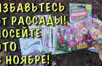 Посейте ЭТИ ЦВЕТЫ ПОД ЗИМУ и весной СКАЖИТЕ СПАСИБО! - YouTube