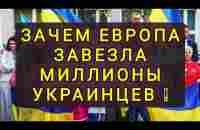 ЗАЧЕМ ЕВРОПЕ УКРАИНСКИЕ БЕЖЕНЦЫ ? ПОЧЕМУ ВЫГОНЯЮТ ?