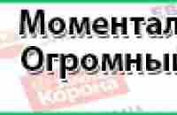 Как создать свой сайт по бесплатному шаблону.