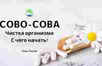 Очищение организма и восстановление его работоспособности | Компания Сово Сова - YouTube